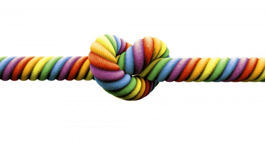 Tie The Knot Gay Marriage Wall Decal