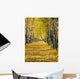 Olympus Digital Camera Wall Decal