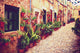 Medieval street 