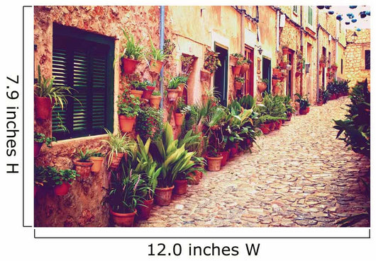 Medieval street 