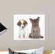Puppy and Kitten on White 
