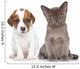 Puppy and Kitten on White 