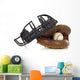 Baseball Catcher's Gear Wall Mural