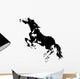 Wild Rearing Horse Wall Decal