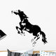 Wild Rearing Horse Wall Decal