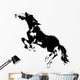 Wild Rearing Horse Wall Decal