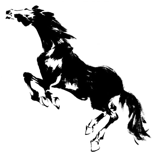 Wild Rearing Horse Wall Decal