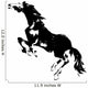 Wild Rearing Horse Wall Decal