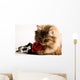 Young cat with a red rose Wall Mural