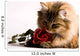 Young cat with a red rose Wall Mural