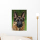 German Shepherd Dog Wall Mural