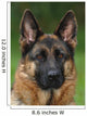 German Shepherd Dog Wall Mural