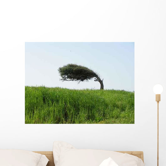 Windbaum Wall Decal