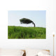 Windbaum Wall Decal