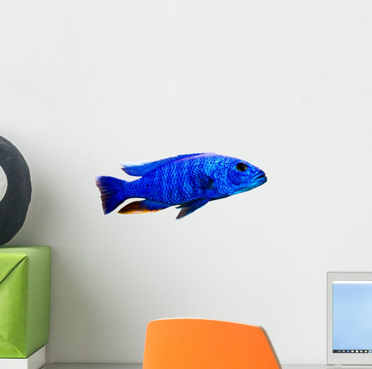 Tropical Fish Wall Decal