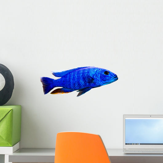 Tropical Fish Wall Decal
