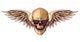 Hipster Skull With Wings Wall Decal