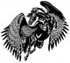 Black Pegasus 