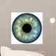 Blue green iris Wall Mural