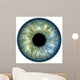 Blue green iris Wall Mural