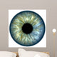Blue green iris Wall Mural
