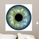 Blue green iris Wall Mural