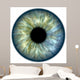 Blue green iris Wall Mural