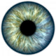 Blue green iris Wall Mural