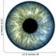 Blue green iris Wall Mural