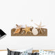 Beach sand with sea shell and star fish postcard Wall Decal