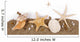 Beach sand with sea shell and star fish postcard Wall Decal