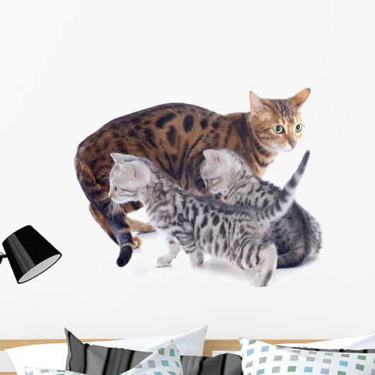 Bengal Kitten and Mother Wall Decal