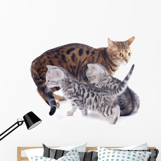 Bengal Kitten and Mother Wall Decal