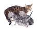 Bengal Kitten and Mother Wall Decal