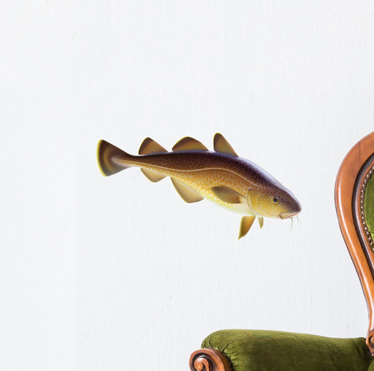 Atlantic cod Wall Decal