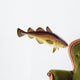 Atlantic cod Wall Decal