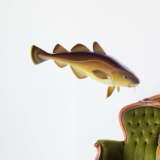 Atlantic cod Wall Decal