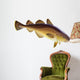 Atlantic cod Wall Decal