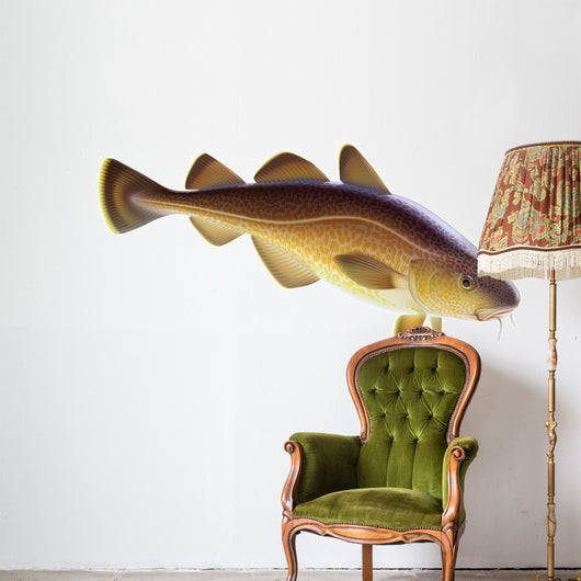 Atlantic cod Wall Decal