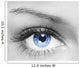 woman eye 