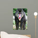 Mandrill Baboon Wall Mural