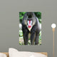 Mandrill Baboon Wall Mural