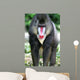 Mandrill Baboon Wall Mural