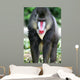 Mandrill Baboon Wall Mural