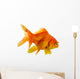 Red Fish on White B 