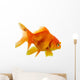 Red Fish on White B 