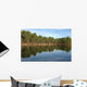 And Pine Forest Lake Wall Decal