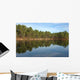 And Pine Forest Lake Wall Decal