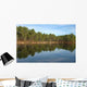 And Pine Forest Lake Wall Decal