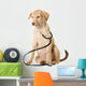 Dog and Stethoscope Wall Decal Design 2